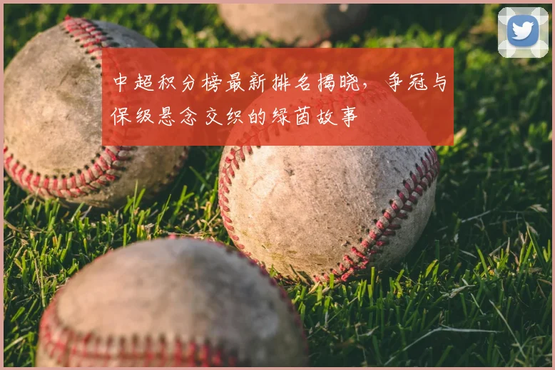 中超积分榜最新排名揭晓，争冠与保级悬念交织的绿茵故事