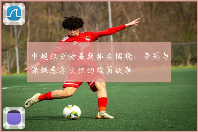 中超积分榜最新排名揭晓，争冠与保级悬念交织的绿茵故事
