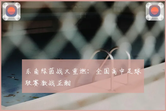 东南绿茵战火重燃:全国高中足球联赛激战正酣