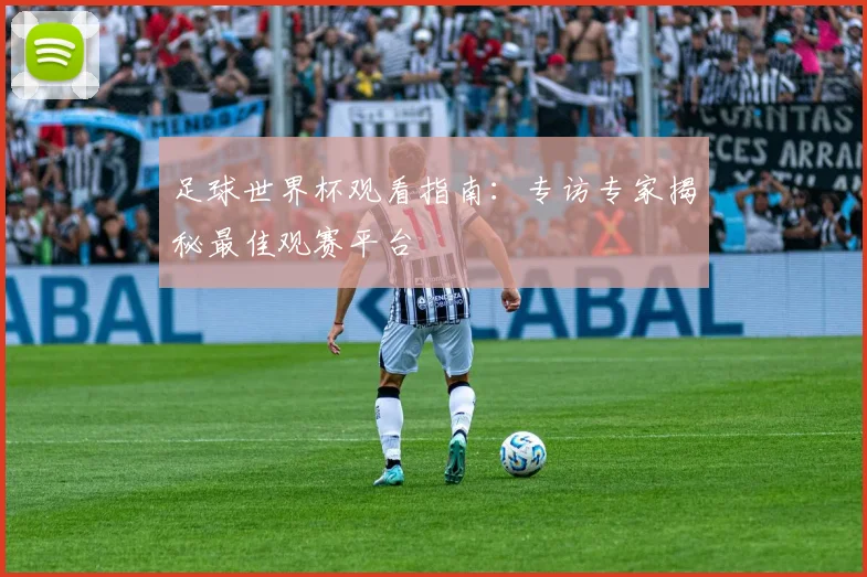 足球世界杯观看指南：专访专家揭秘最佳观赛平台