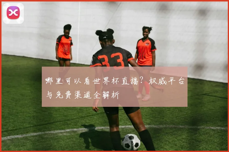 哪里可以看世界杯直播？权威平台与免费渠道全解析