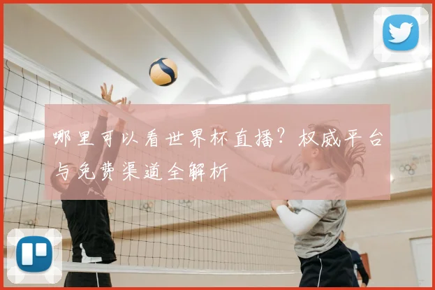 哪里可以看世界杯直播？权威平台与免费渠道全解析