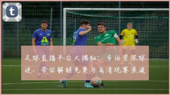 足球直播平台大揭秘:专访资深球迷,带你解锁免费与高清观赛渠道