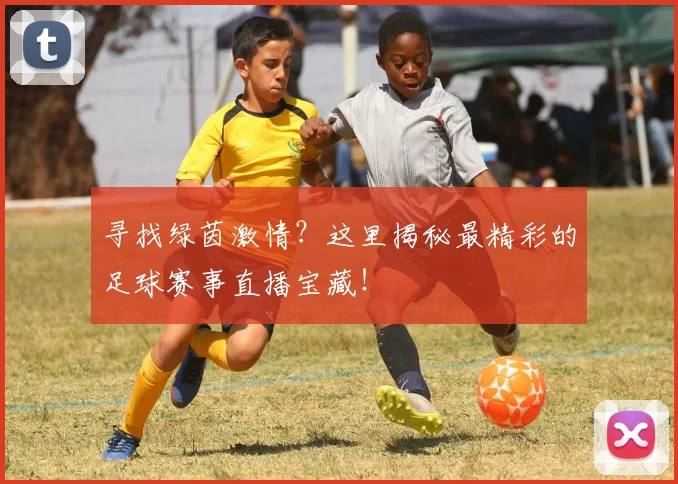 寻找绿茵激情？这里揭秘最精彩的足球赛事直播宝藏！